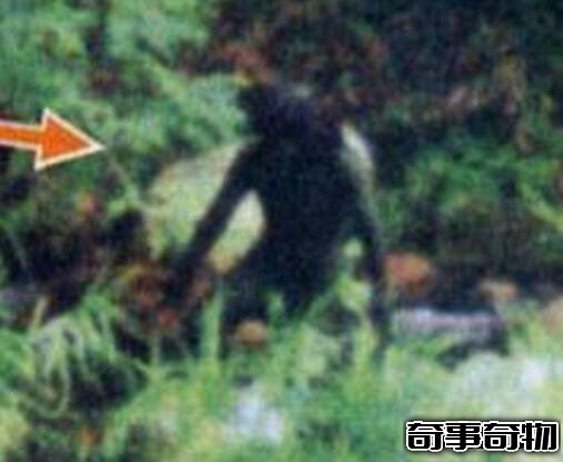 四川驚現詭異河童 不被信仰的河神成為吃人妖怪