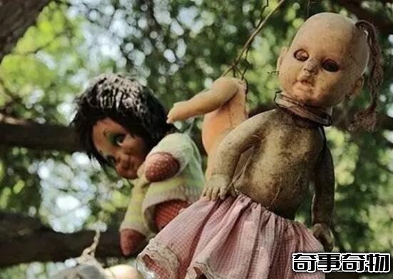墨西哥娃娃島太詭異了 鬼娃娃被肢解吊在樹上 毛骨悚然