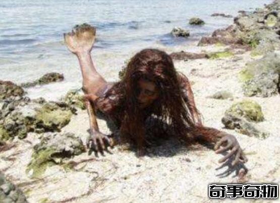 山東魚人真實圖片曝光 面目猙獰吃人不吐骨頭 詭異至極