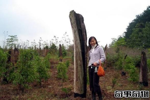 地球上到底有沒有外星人