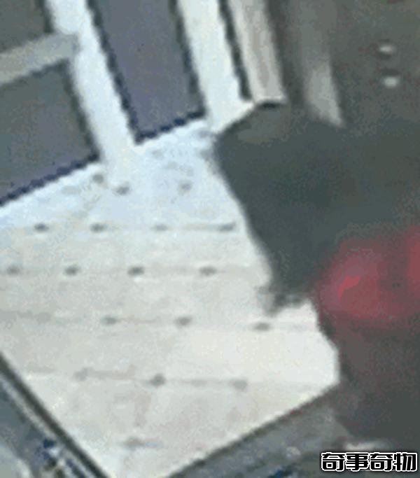 藍可兒死亡事件 揭秘藍可兒死亡真相 被謀殺