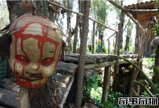 墨西哥娃娃島太詭異了 鬼娃娃被肢解吊在樹上 毛骨悚然