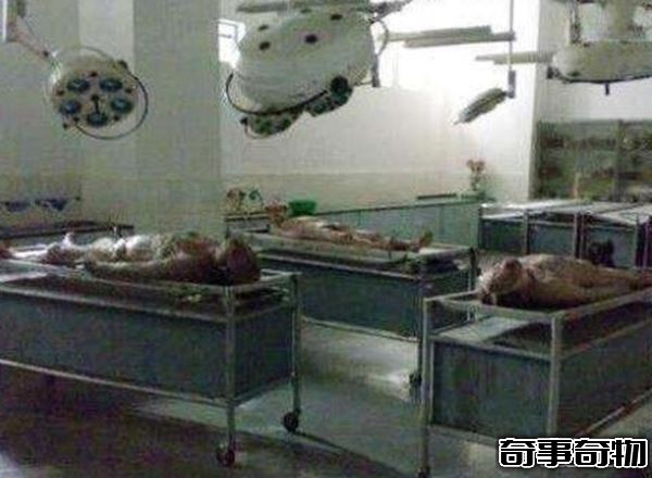中國十大鬧鬼學校 南大碎尸案分尸2000多片 頭顱煮熟