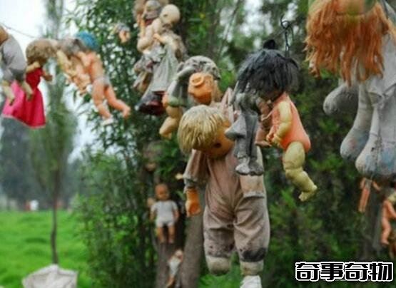 墨西哥娃娃島太詭異了 鬼娃娃被肢解吊在樹上 毛骨悚然