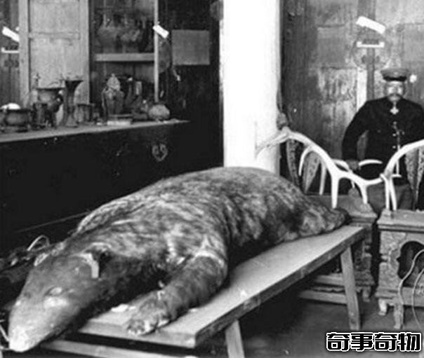 北京故宮靈異事件 恐怖真實的20個鬧鬼事件