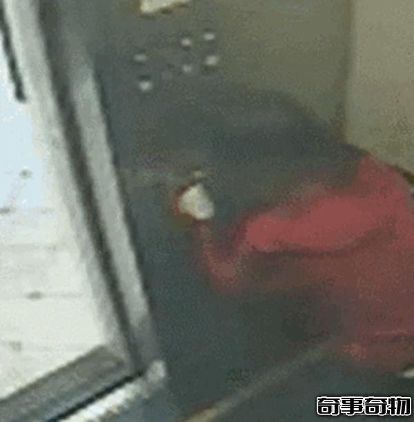 藍可兒死亡事件 揭秘藍可兒死亡真相 被謀殺