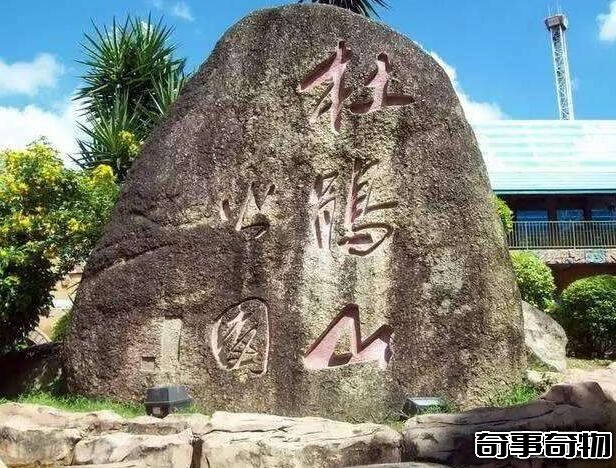 深圳大學靈異事件 深大鬧鬼是真的嗎 都有哪些恐怖事