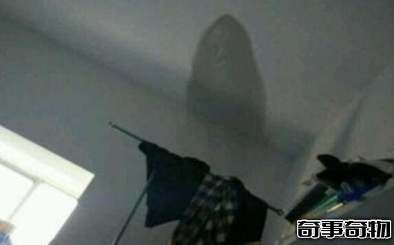 深圳大學靈異事件 深大鬧鬼是真的嗎 都有哪些恐怖事