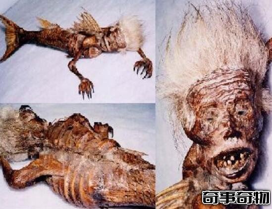 山東魚人真實圖片曝光 面目猙獰吃人不吐骨頭 詭異至極