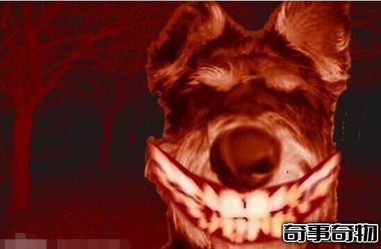 微笑的狗恐怖原圖嚇死人 千萬不要作死去搜smile.jpg