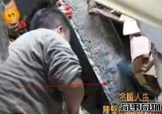 汶川地震半張臉 廢墟中詭異藍色半張臉震驚眾人