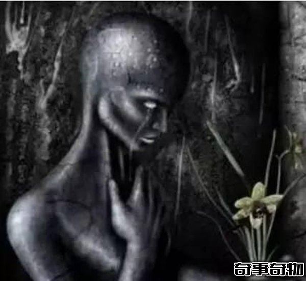 第13雙眼睛為什么是禁曲