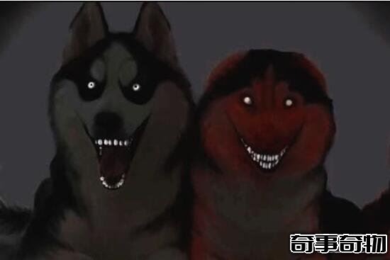 微笑的狗恐怖原圖嚇死人 千萬不要作死去搜smile.jpg