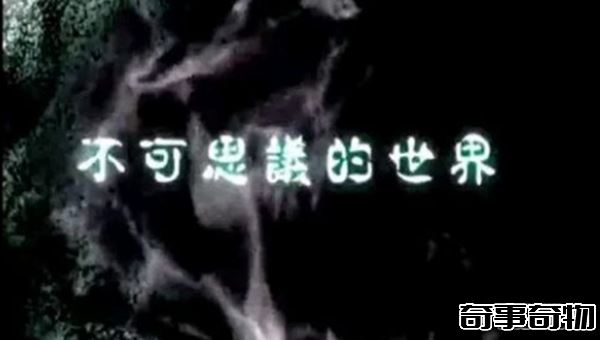 國內外最火的靈異節目有哪些 超恐怖顛覆三觀