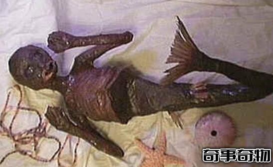 山東魚人真實圖片曝光 面目猙獰吃人不吐骨頭 詭異至極