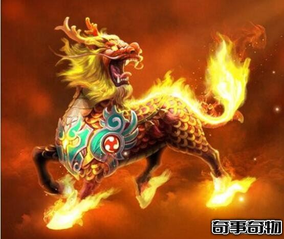 越南真的有人拍到了麒麟 傳說中麒麟出圣人現是真的嗎
