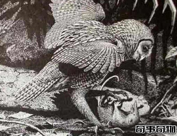 10大最奇特滅絕物種 第九長達三米 第一致死高手 附圖