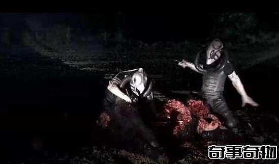 人類殺死了地球原住民 人類趕走尼安德特人后稱霸地球