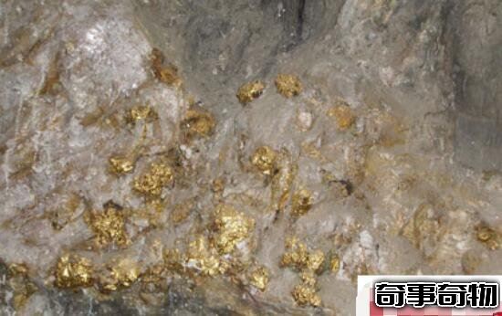 揭秘金銀島寶藏之謎 海盜埋藏的金銀財寶 太平洋可可島