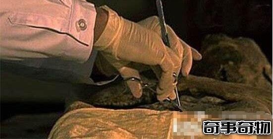 月球三眼女尸是真的嗎 揭秘月球三眼女尸真相