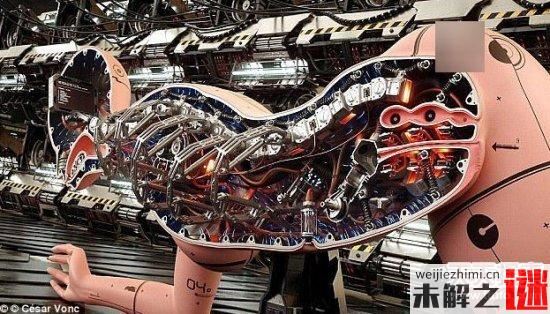 不可思議的事情 未來人類將與機器人交配
