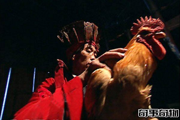 湘西定雞術 揭秘湘西民間秘術未解之謎 解讀