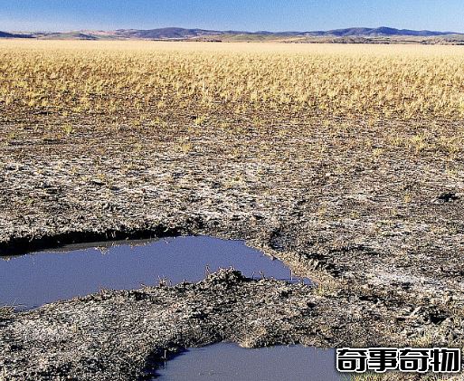 時隱時現的神秘鬼湖 澳大利亞喬治湖 行蹤不定