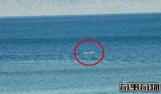 青海湖水怪之謎 體長超14米形似恐龍