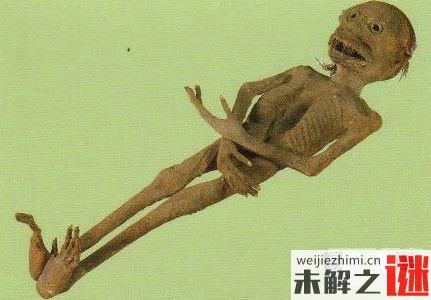 水猴 就是傳說中的水鬼 它真的存在嗎