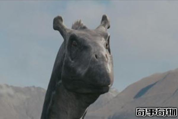 湖光巖水怪之謎 湖面游動超大黑色陰影 疑似中華鱘