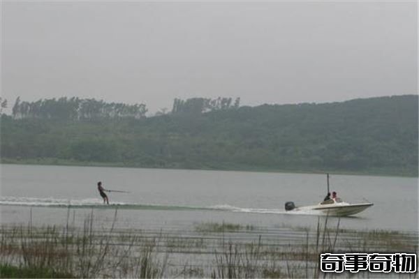 湖光巖水怪之謎 湖面游動超大黑色陰影 疑似中華鱘
