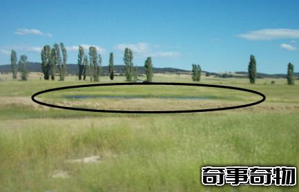時隱時現的神秘鬼湖 澳大利亞喬治湖 行蹤不定