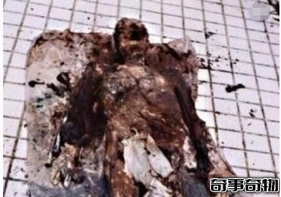 1995年成都僵尸之謎真相 僵尸事件全經過 實際為狂犬病