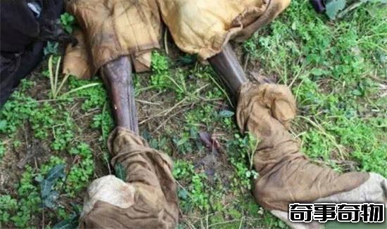 湘西定雞術 揭秘湘西民間秘術未解之謎 解讀