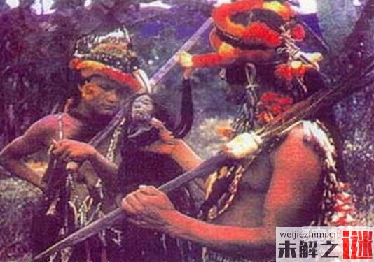 揭秘世界上專門割人頭的阿斯馬答獵頭族
