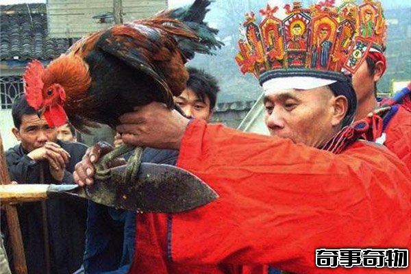 湘西定雞術 揭秘湘西民間秘術未解之謎 解讀