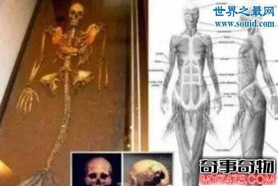 天狼星人竟是人類的祖先 智慧生物曾經造訪地球