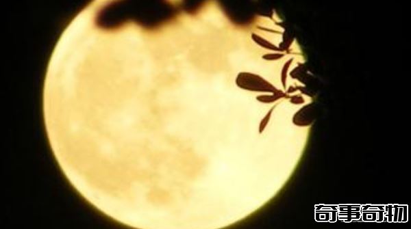 月球到底有什么秘密 月球上不敢公開的15大秘密