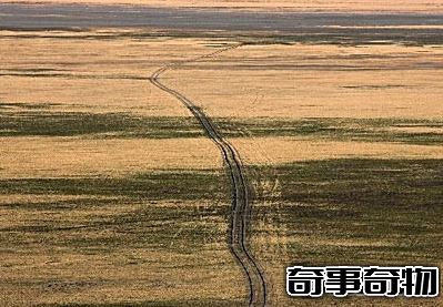 時隱時現的神秘鬼湖 澳大利亞喬治湖 行蹤不定