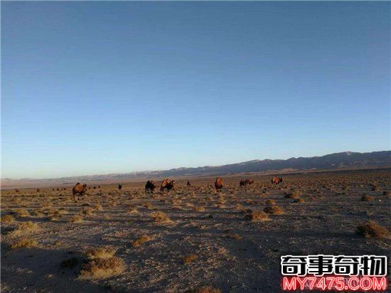 昆侖山的詭異事件（昆侖山地獄之門靈異事件）