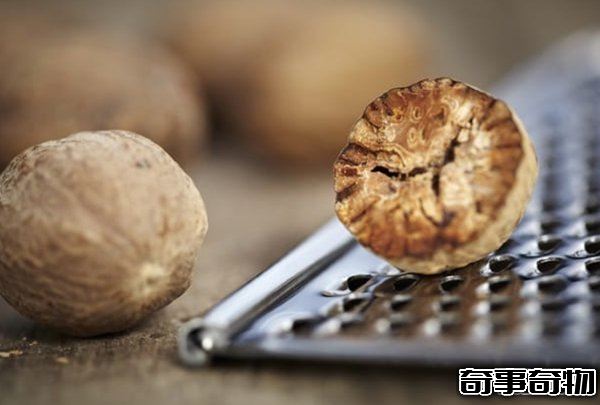 哪些植物一碰人就會死 生活中致人死亡的十大植物