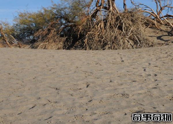 神秘北緯30 緯線之謎 緯線附近奇景繁多詭異頻發 貫穿四大古國