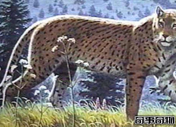 10大最奇特滅絕物種 第九長達三米 第一致死高手 附圖