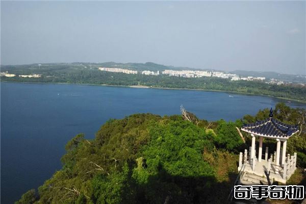 湖光巖水怪之謎 湖面游動超大黑色陰影 疑似中華鱘