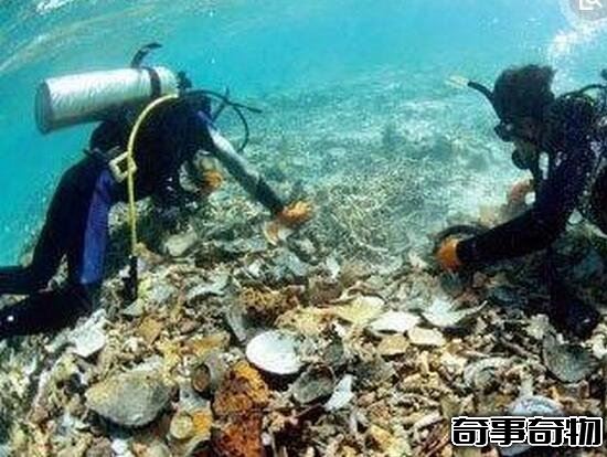 日本阿波丸號黃金沉沒之謎 40噸黃金海底神秘消失 無解