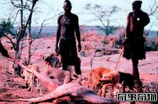 人類殺死了地球原住民 人類趕走尼安德特人后稱霸地球