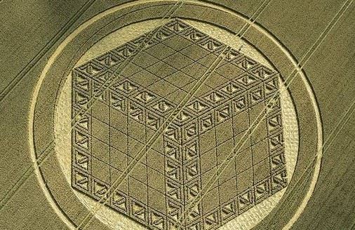 英國神跡 威爾特郡現 3D魔方麥田怪圈