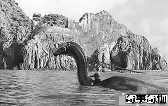 青海湖海底驚現12米巨型真龍 真龍圖片曝光震驚眾人