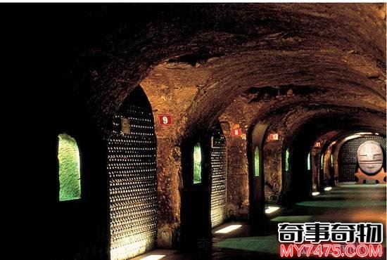世界之謎瑪雅古隧道之謎 瑪雅地下古隧道圖片