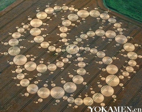 麥田白堊畫在山坡上的巨型白馬圖